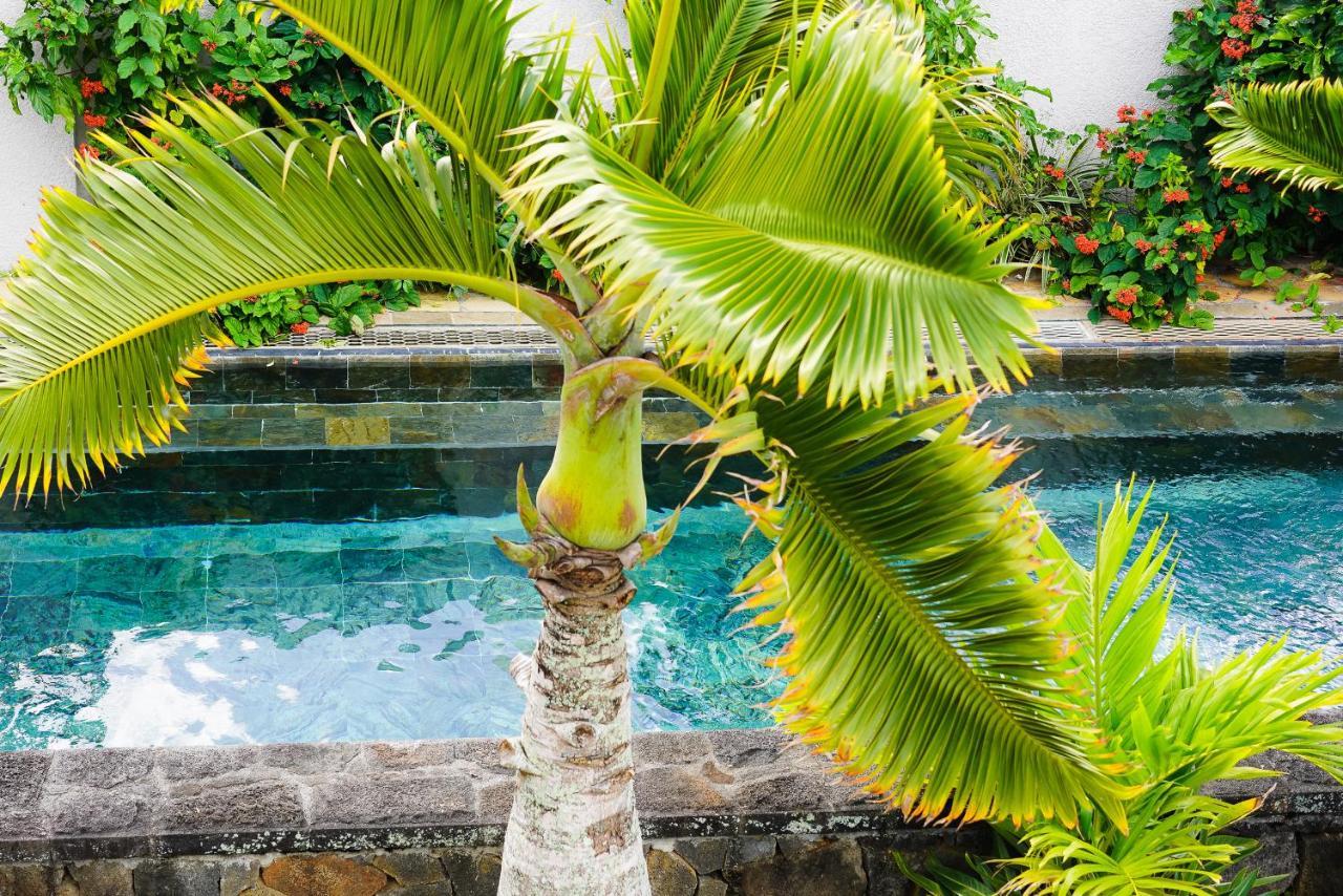 Luxury Villa L'Ile Maurice ポワント・オー・カノニエ エクステリア 写真